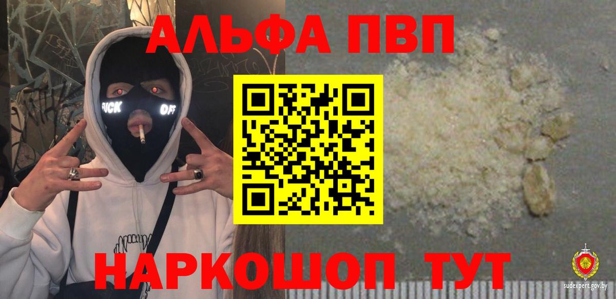 APVP СК Новозыбков
