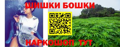 гидра Дубна