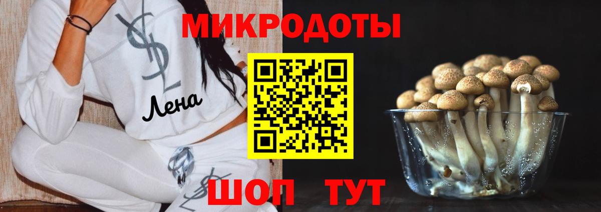 Галлюциногенные грибы мухоморы  Вход с VPN  Галлюциногенные грибы MAGIC MUSHROOMS  Новозыбков 